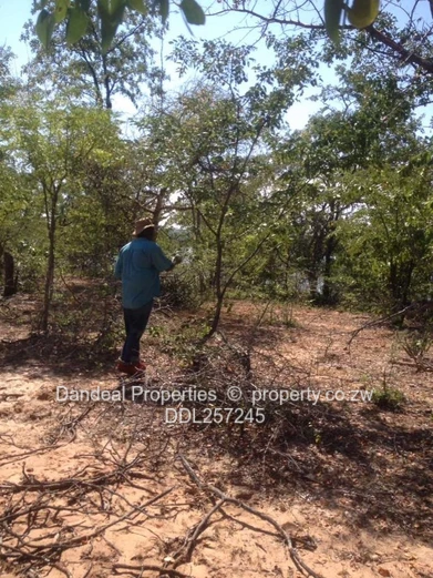 Prime 2ha Zambezi-Front Commercial Land in Binga