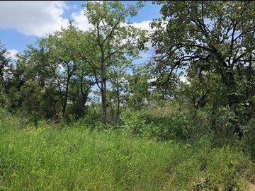 Farm & Agricultural Land