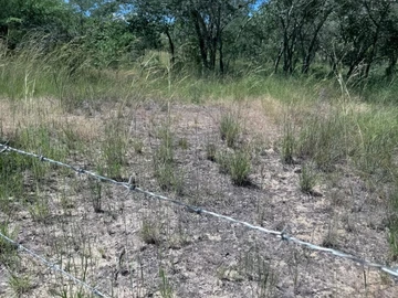 Commercial & Industrial Land