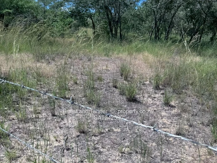 Masvingo Highway Land for Sale – 10ha Perfect for Plaza, Truck Inn or School