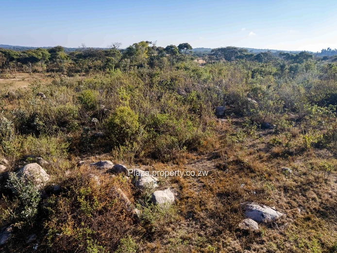 Marondera Prime 29-Hectare Farm – An Outstanding Investment Opportunity