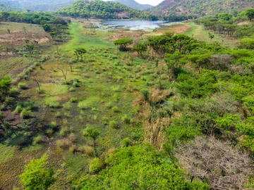 Farm & Agricultural Land