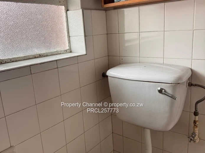 1-Bed Garden Flat in Avenues — Parquet Floors & Borehole