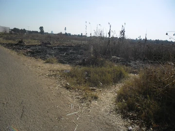 Commercial & Industrial Land