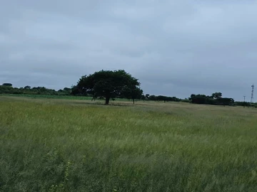 Farm & Agricultural Land