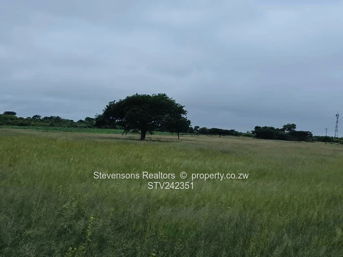 Farm for Sale in Bulawayo along Plumtree Road 