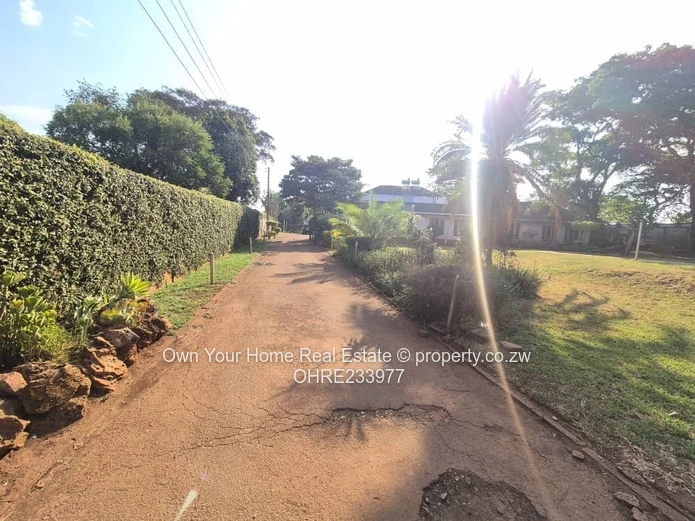 Golden Oldie in Mandara 