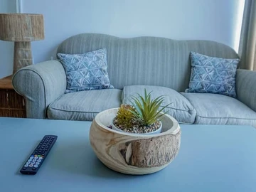 Flat & Apartment