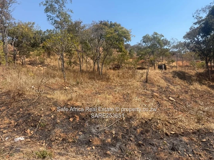 Prime Development Opportunity – 1,800m² Carrick Creagh, Harare North