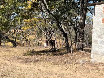 Farm & Agricultural Land