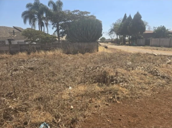 Stands & Residential Land