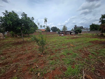 Stands & Residential Land