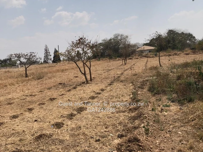 Farm For Sale In Nyamandlovu
