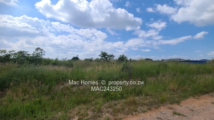 Flat land ready to build for sale (Sole Mandate)