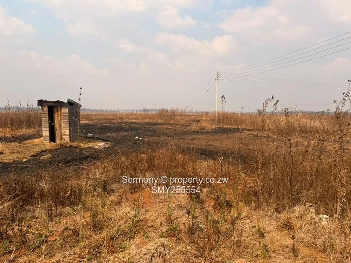 Residential house for rent