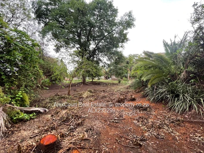 Mt Pleasant Northwood Land for Sale