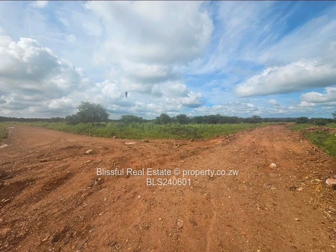 Stands for sale in Doornfontein 