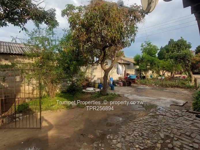 Glen Norah 4BR Home with Borehole & Yard — Fixer