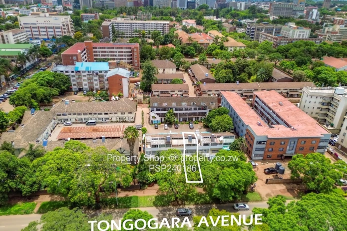 Fully Furnished 3 Bedrooms Garden Flat