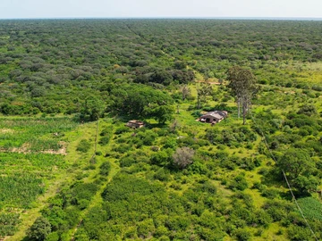 Farm & Agricultural Land