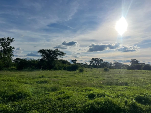 Farm & Agricultural Land