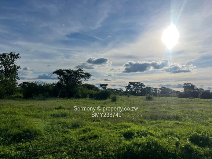 Agricultural Farm For Sale