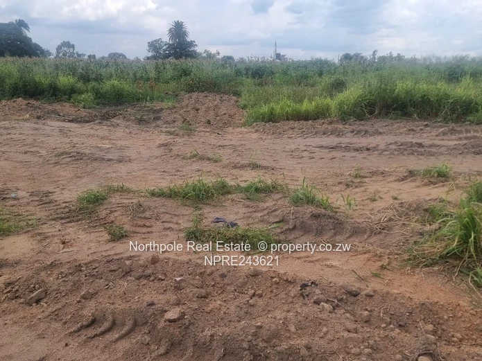 Nyabira Penrose Stand For Sale