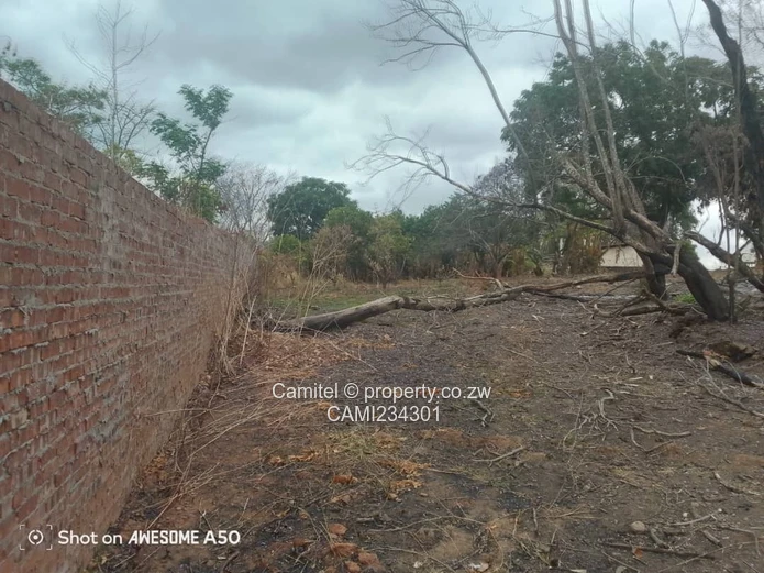 A good potential Investment