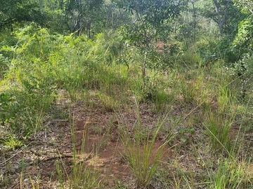 Farm & Agricultural Land