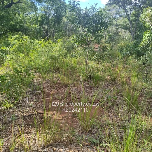Norton chegutu selous plots for sale