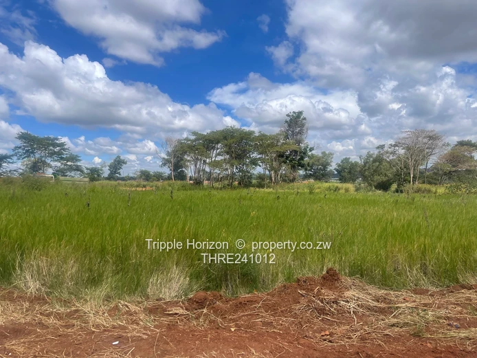 Stands with payment terms, servicing in progress!!