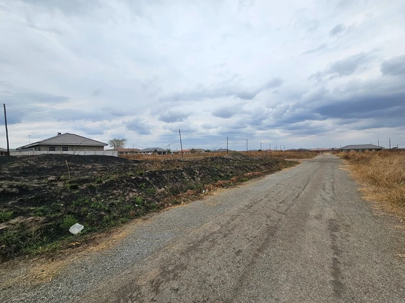 Stands & Residential Land