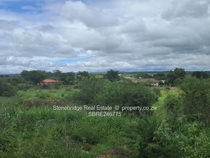 7000SQM Stand in Buena Vista for sale