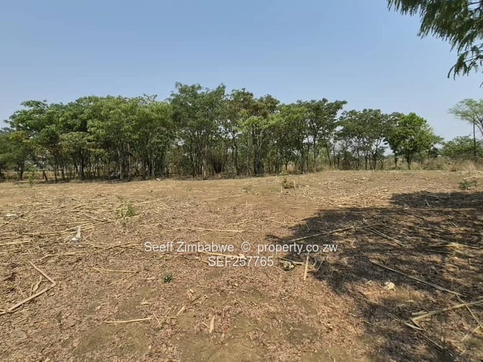 4800 m² Stand in Galloway — Norton