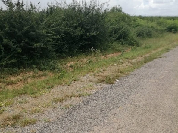 Commercial & Industrial Land