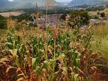 Commercial & Industrial Land