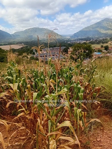 Mazowe commercial land for sale