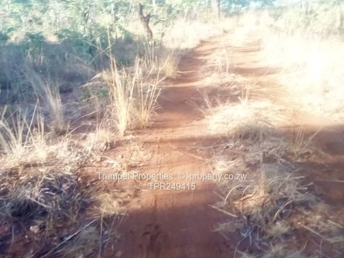 20ha Mapinga Farm - Red Soil Tracks, Arable Grazing Land
