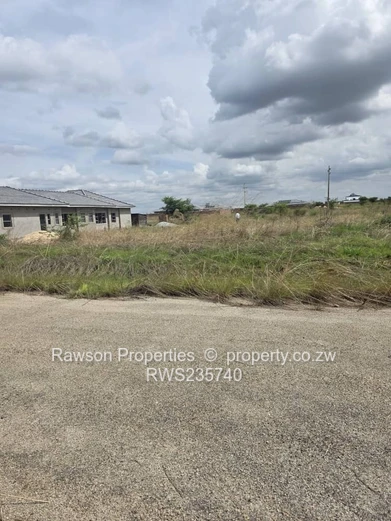 Investment opportunity!