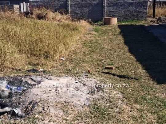 Ruwa Stands for Sale – Cranbrook Side