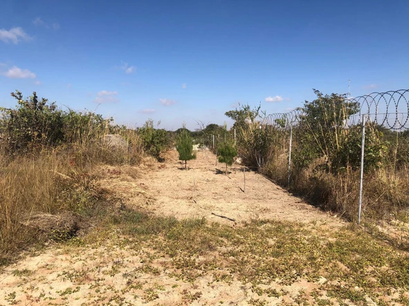 Farm & Agricultural Land