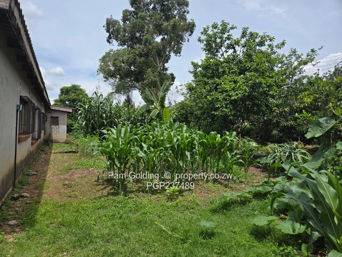  A Vacant Stand With A 4-roomed Cottage (Sole Mandate)