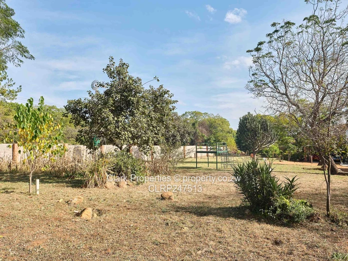 Charming Hillside Home with Undeveloped Land