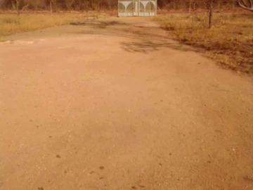 Farm & Agricultural Land