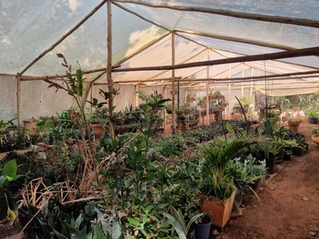 Farm & Agricultural Land