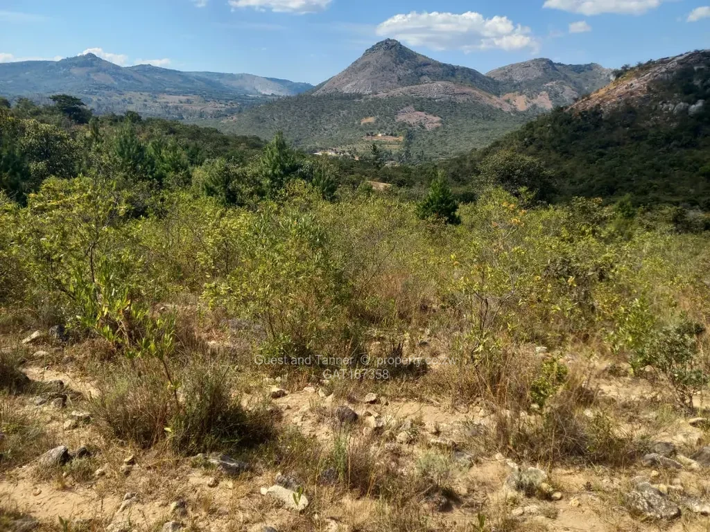 Stands & Residential Land for Sale in Nyanga GAT167358