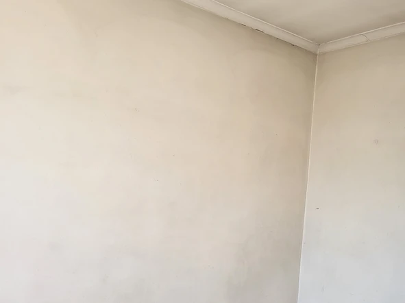 Garden Flat