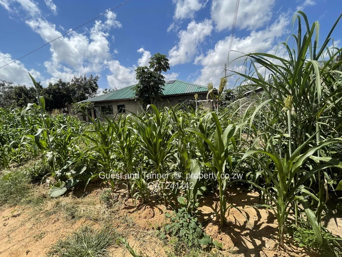 Stand For Sale – Southlea Park