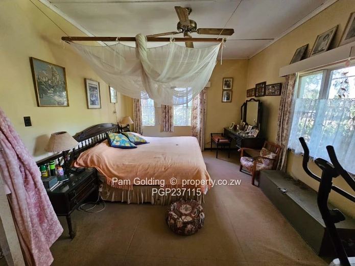 Expansive Gwanda Gem