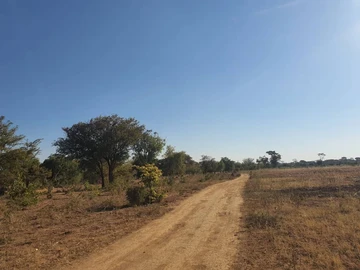 Farm & Agricultural Land